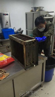 油煙機(jī)與冰箱專業(yè)維修保養(yǎng)服務(wù)